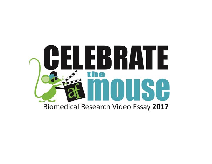 Congrats to the 2017 Celebrate the Mouse Video Essay Contest Winners!
